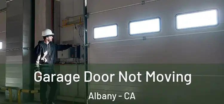  Garage Door Not Moving Albany - CA