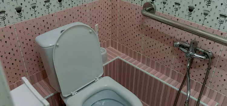 Meeting Diverse Needs With Accessible Restroom Solutions in Albany, CA